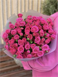 Кустовые розы малиновые Пинк в пленке (21шт) 345687