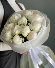 Белые пионы в пленке (11шт) 9709
