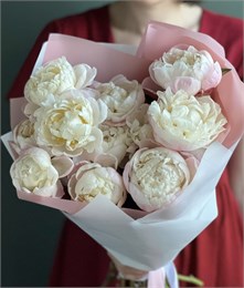 Пионы нежно-розовые Гардения в пленке (11шт) 4546733666