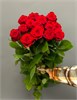 Красные розы (пачка 10шт) 45468797 в Твери